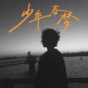 Download track 少年春梦 (伴奏) 陈少卿