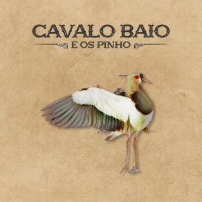 Download track Araucária Quente Cavalo Baio E Os Pinho