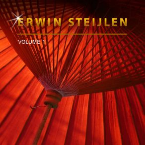 Download track Turmoil And Bliss Erwin Steijlen