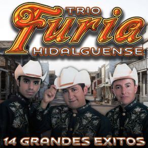 Download track El Agua Nieve Trio Furia Hidalguense