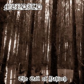 Download track Goddess Of Darkness Merfild