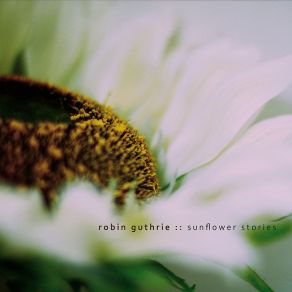 Download track Petals Robin Guthrie