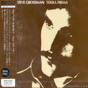 Download track This Way Out Steve Grossman