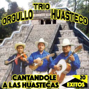 Download track El Ranchero Potosino Trío Orgullo Huasteco