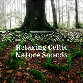 Download track Unique Moments Celtic Chillout Relaxation Academy