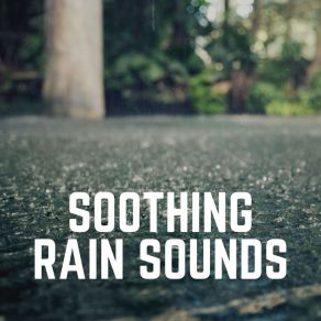 Download track Rain For City Walks, Pt. 10 Lullaby Rain