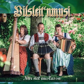 Download track Nur Net Auslassn Vilsleit'nmusi