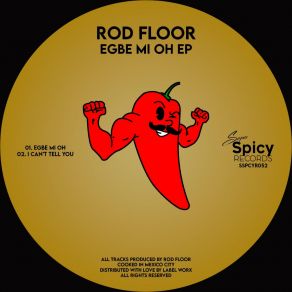 Download track I Can't Tell You Rod Floor