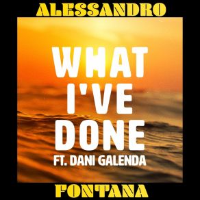 Download track What I've Done (Radio Edit) Alessandro Fontana