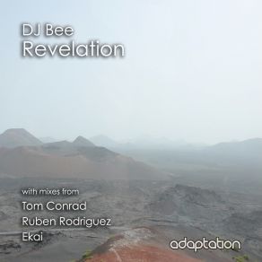 Download track Revelation (Original Mix) Dj Bee