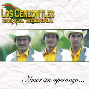 Download track Chutama En Greña Los Cenzontles De La Sierra