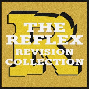 Download track Fire (Got Me Burning) Reflex