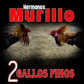 Download track La Casita Del Monte Hermanos Murillo