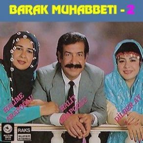 Download track Zalim Felek Halit Araboğlu