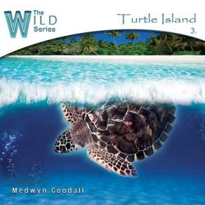 Download track Turtle Island Medwyn Goodall