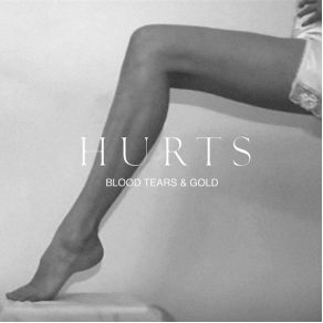 Download track Blood, Tears & Gold Hurts