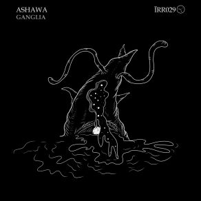 Download track Ridiculus Ashawa