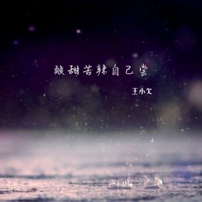 Download track 酸甜苦辣自己尝 (伴奏) 王小欠