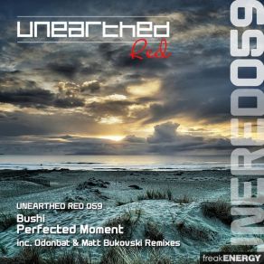 Download track Perfected Moment (Matt Bukovski Remix) Bushi