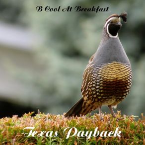 Download track Those Wild Delusions Texas Payback