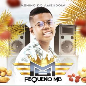 Download track Pivete Brabo Pequeno MB