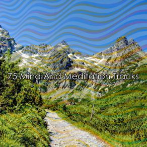 Download track Open Minds Pro Sounds Effects Library