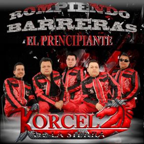 Download track Sueño De Amor Korcel De La Sierra