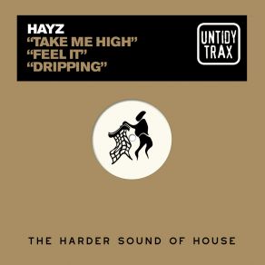 Download track Feel It (Extended Mix) Hayz