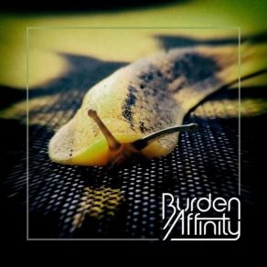 Download track The Challenge, Pt. I Burden Affinity