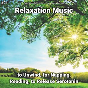 Download track Inimitable Ambient Relaxing Spa Music