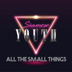 Download track All The Small Things (Blink 182 Syntwave Cover) Siamese Youth