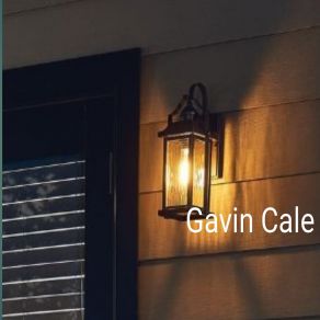 Download track On The Journey Of Life Gavin Cale