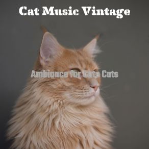 Download track Warm Cats Cat Music Vintage