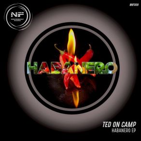 Download track Bird's Eye Ted On Camp