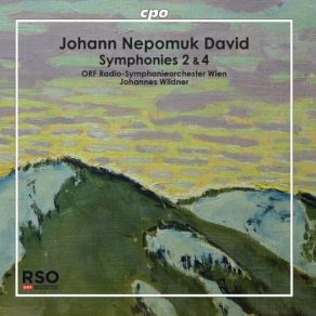 Download track Symphony No. 2, Op. 20 II. Largo E Cantabile Johannes Wildner, ORF Symphonieorchester