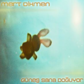 Download track Kalan Sağlar Bizimdir Mert Dikmen