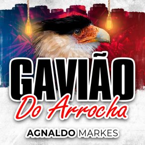 Download track A Outra Gavião Do Arrocha