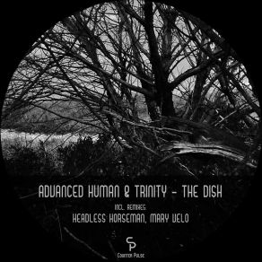 Download track The Dish (Original Mix) Trinity (AU)