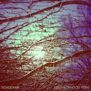 Download track Neighborhood Veins Schooner