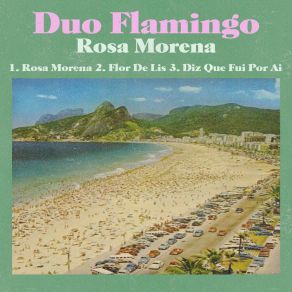 Download track Diz Que Fui Por Ai Duo Flamingo