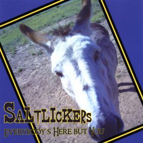 Download track In My Heaven Saltlickers