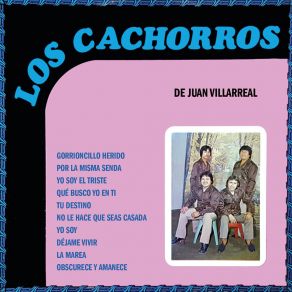 Download track Tu Destino Los Cachorros De Juan Villarreal