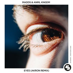 Download track Eyes (Akron Remix) Anml KngdmAkron