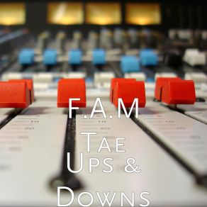 Download track Boo'd Up (Cover) F. A. M. Tae