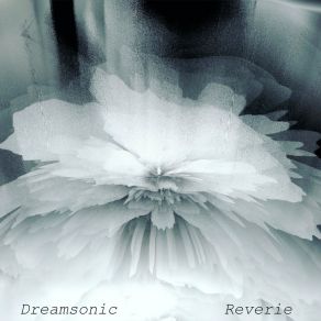 Download track Cleat Dreamsonic