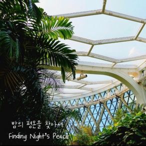 Download track 편안한 밤의 속삭임 (Gentle Night Whispers) Mmmstudio