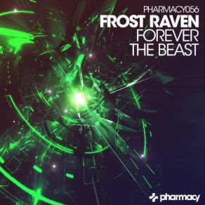 Download track Forever (Original Mix) Frost Raven