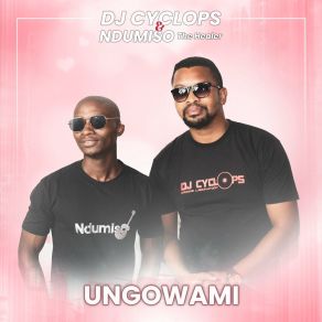 Download track Ungowami Ndumiso The Healer