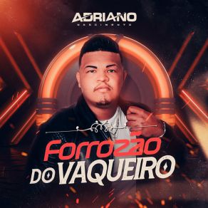 Download track Não Vou Mais Te Procurar Adriano Nascimento