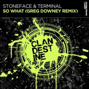 Download track So What (Greg Downey Extended Remix) Greg Downey, Stoneface, Terminal, Stoneface & Terminal